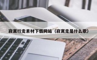 漯河寂寞行走素材下载网站（寂寞走是什么歌）